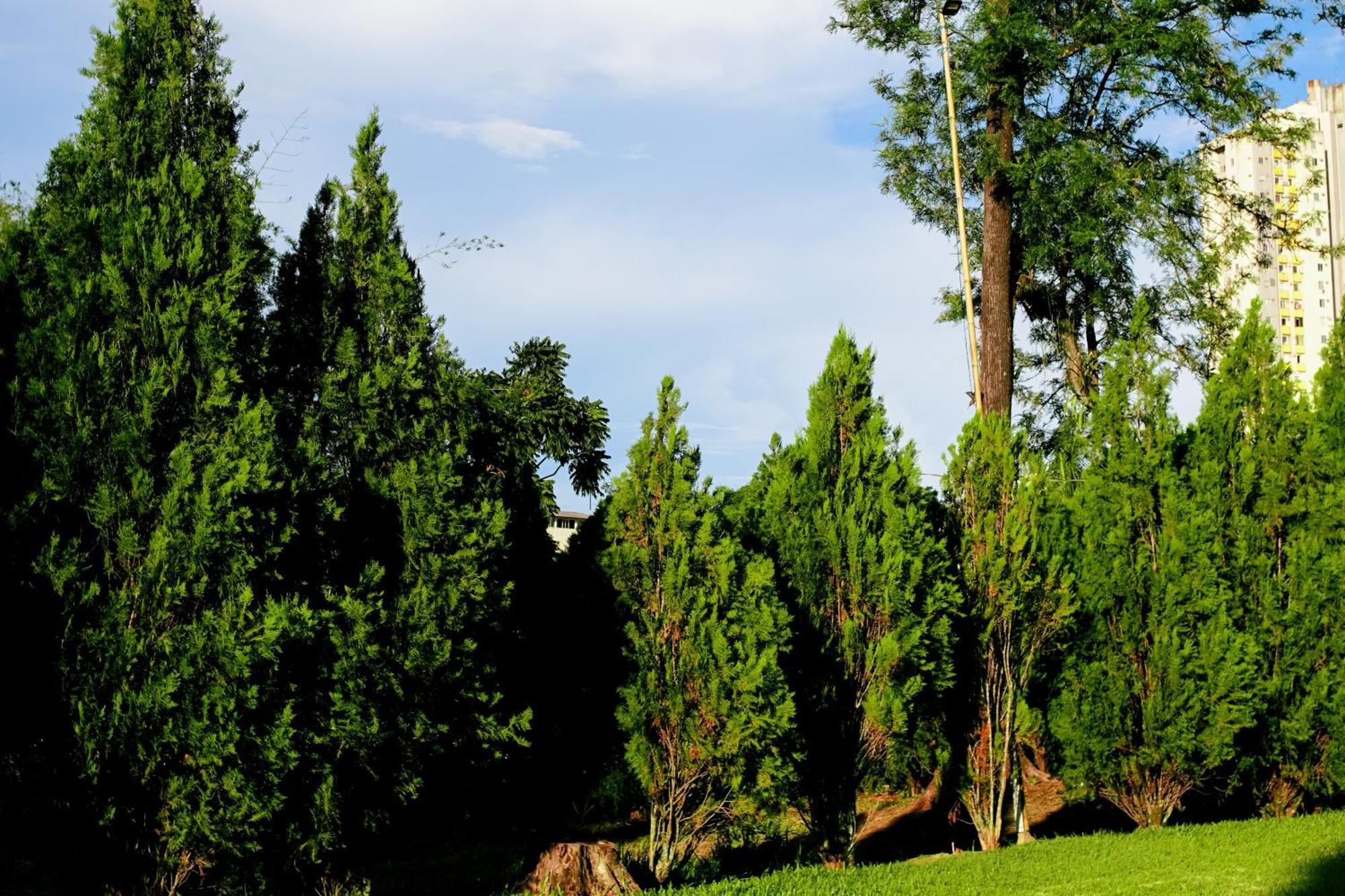 Inn Velinn Hotel Natureza Foz