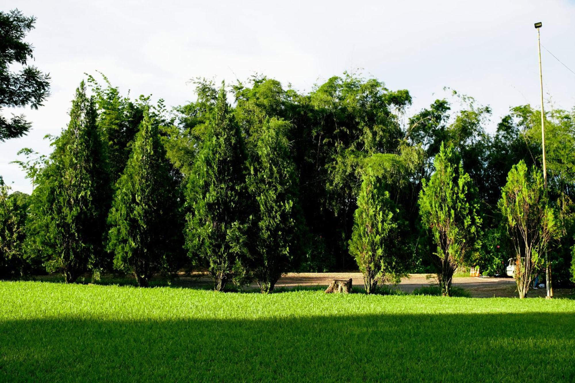 Velinn Hotel Natureza Foz Inn Foz do Iguacu