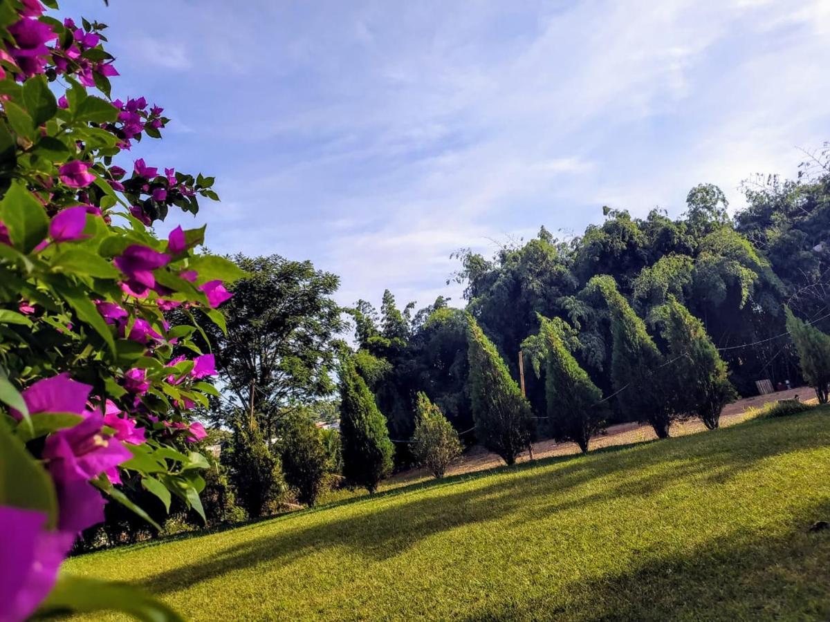 Velinn Hotel Natureza Foz Inn
